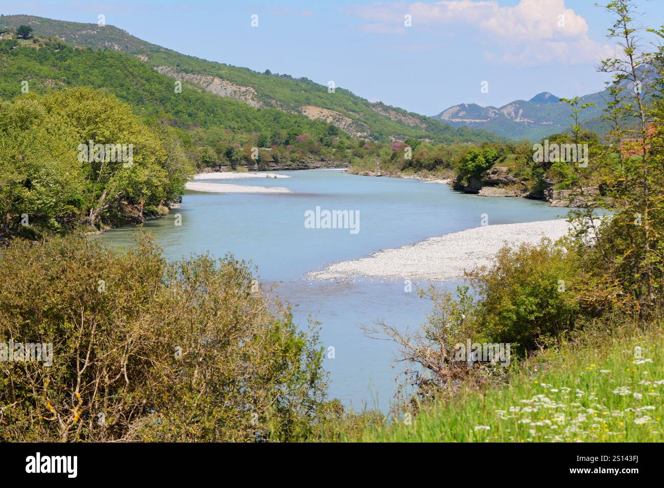 Cours naturel de la rivière Vjosa, Albanie, Parc National de Vjosa Banque D'Images