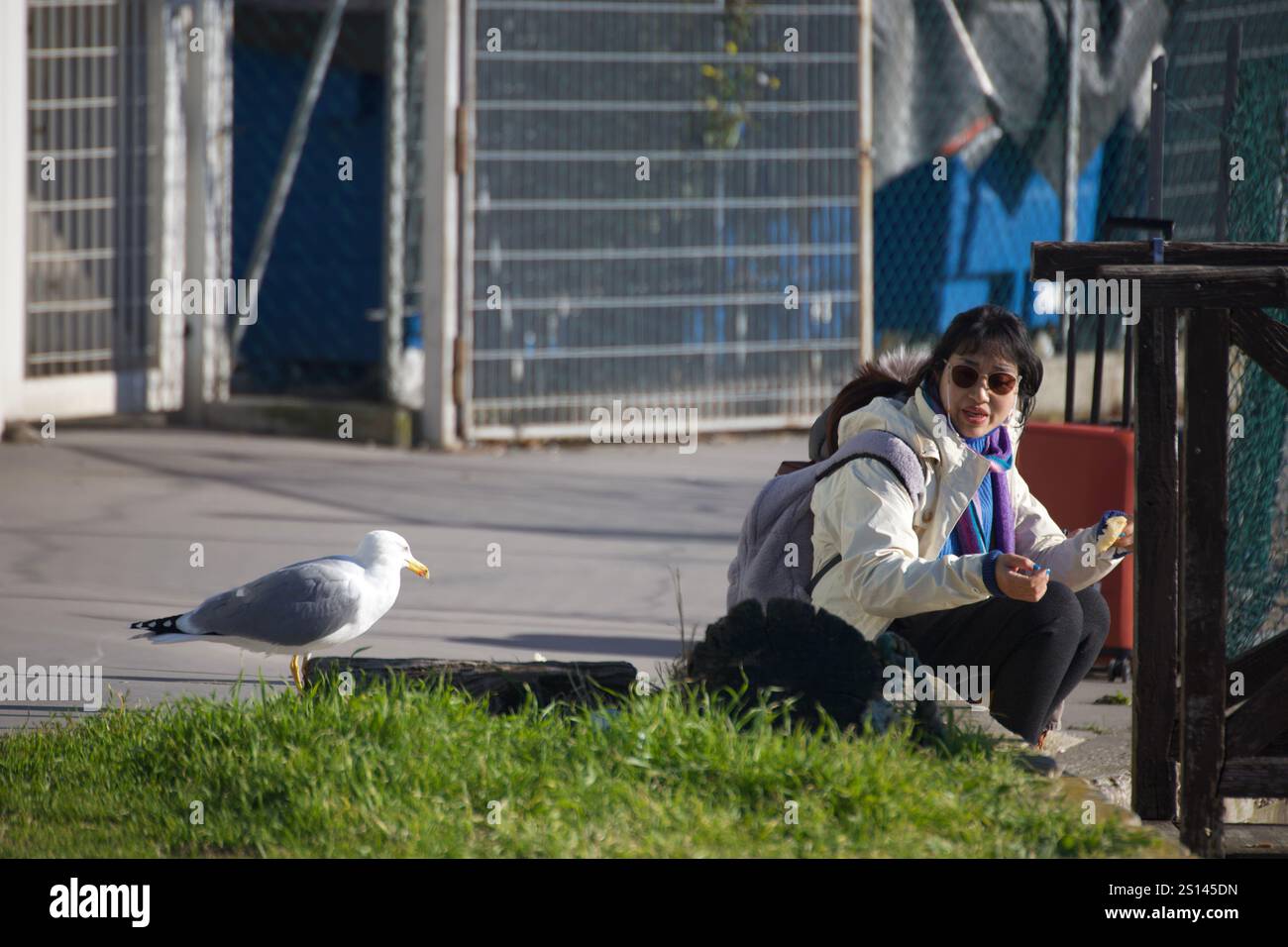 Venise, Italie. 28 décembre 2024. Une femme touriste en arrière-plan et une mouette au premier plan. Banque D'Images
