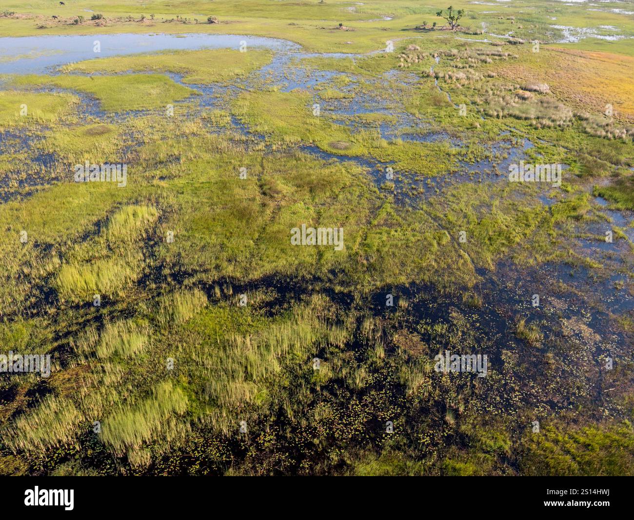Paysage au Botswana. Vol de Maun au delta de l'Okavango en hélicoptère. Banque D'Images