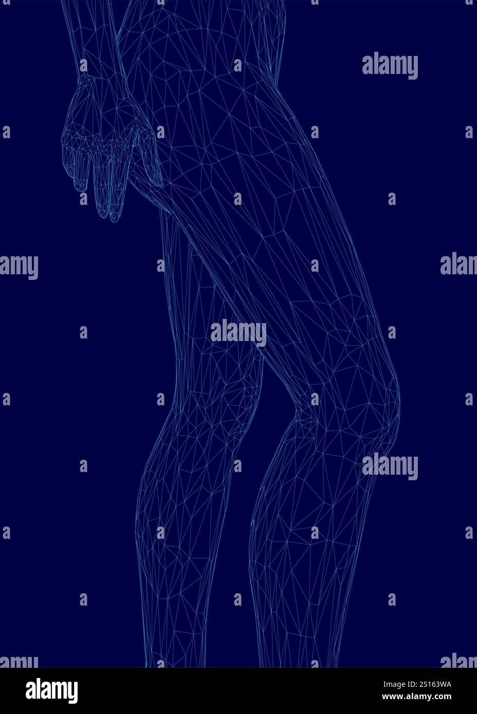 Image bleue des jambes d'une personne avec un contour bleu. Les jambes sont montrées de manière très détaillée et complexe, avec de nombreuses lignes et courbes. L'image possède Illustration de Vecteur