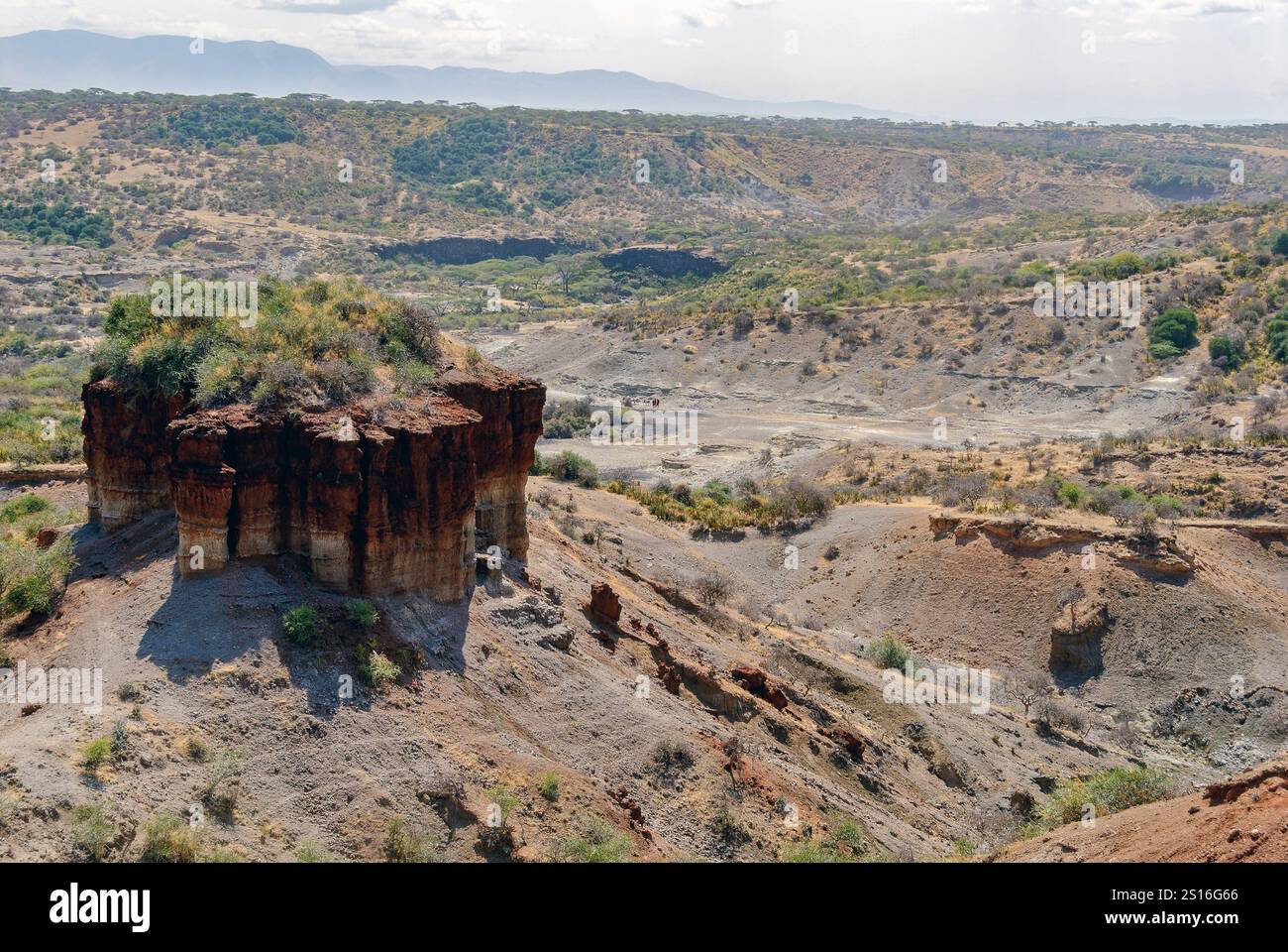 Surplombant Olduvai gorge (vallée du Rift, Tanzanie), l'une des plus importantes localités paléoanthropologiques au monde. Banque D'Images