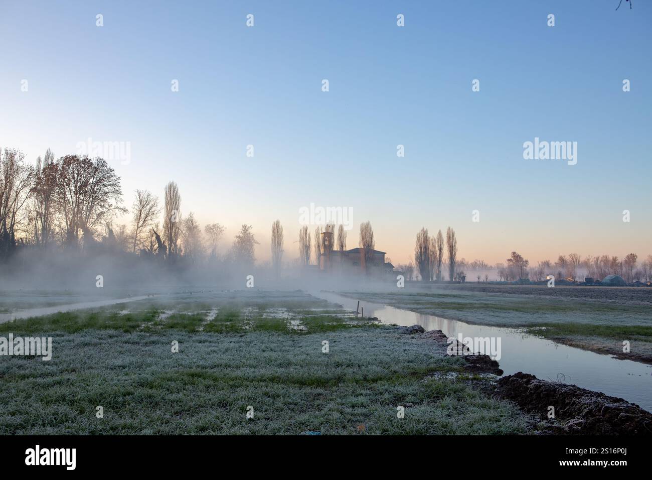Froid matin d'hiver dans la campagne Banque D'Images
