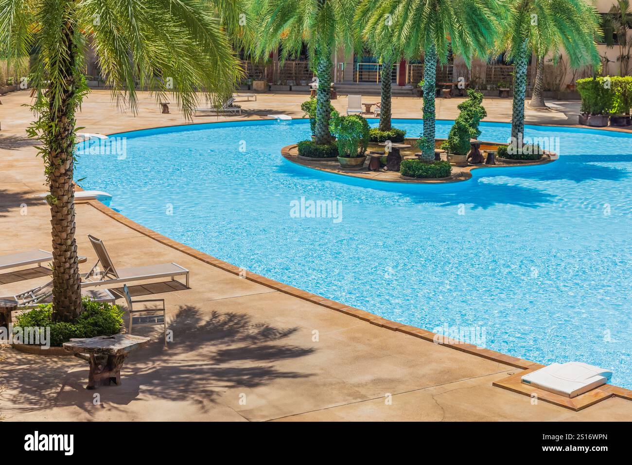 Phuket Thaïlande. Piscine avec palmiers autour. Piscine tropicale avec arbres. palmiers pour la piscine. Piscine d'eau avec palmiers. Chai de pont Banque D'Images