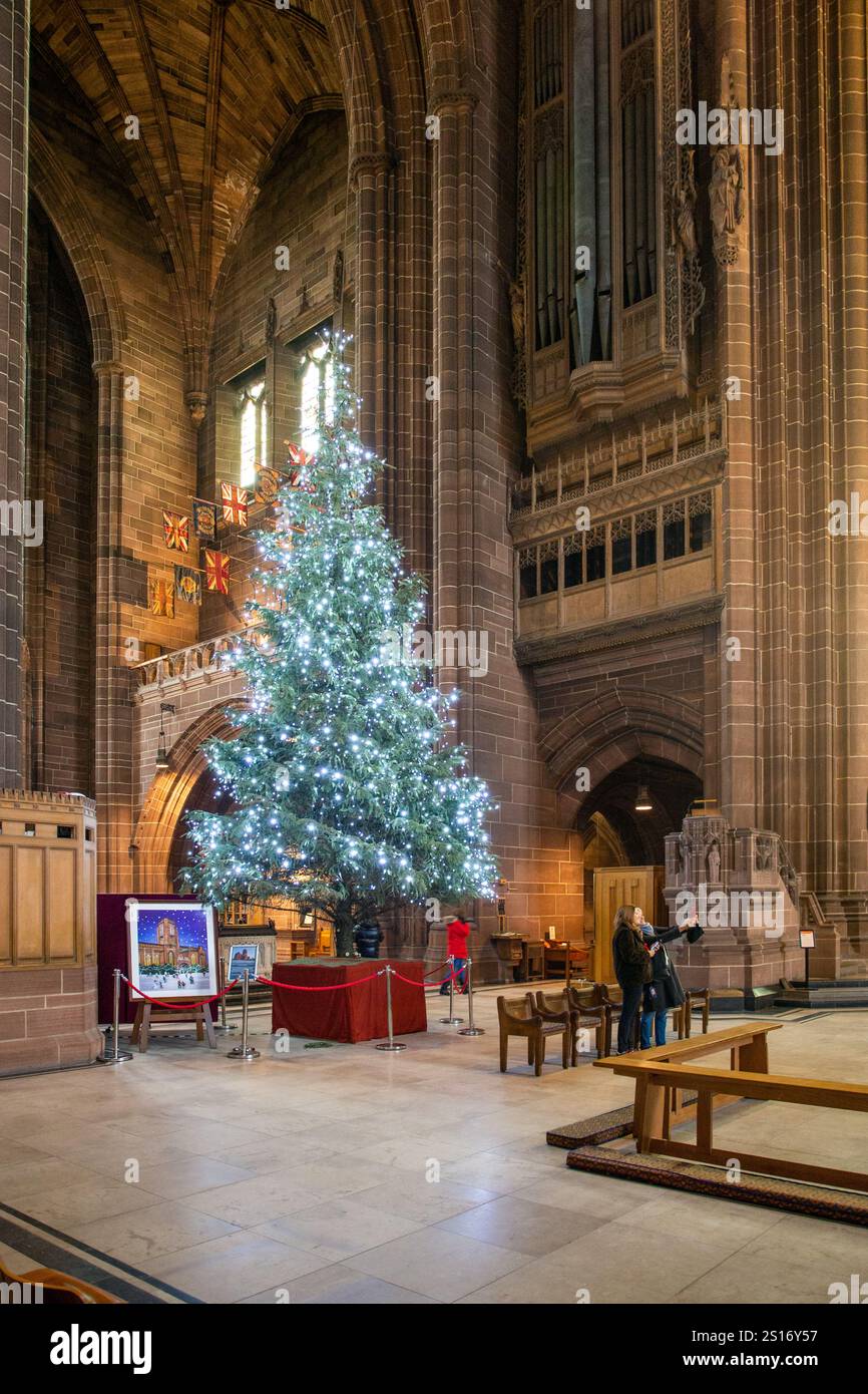 L'arbre de noël à l'intérieur de la cathédrale anglicane de Liverpool, la cathédrale église du Christ à Liverpool. merseyside Angleterre Royaume-Uni Banque D'Images