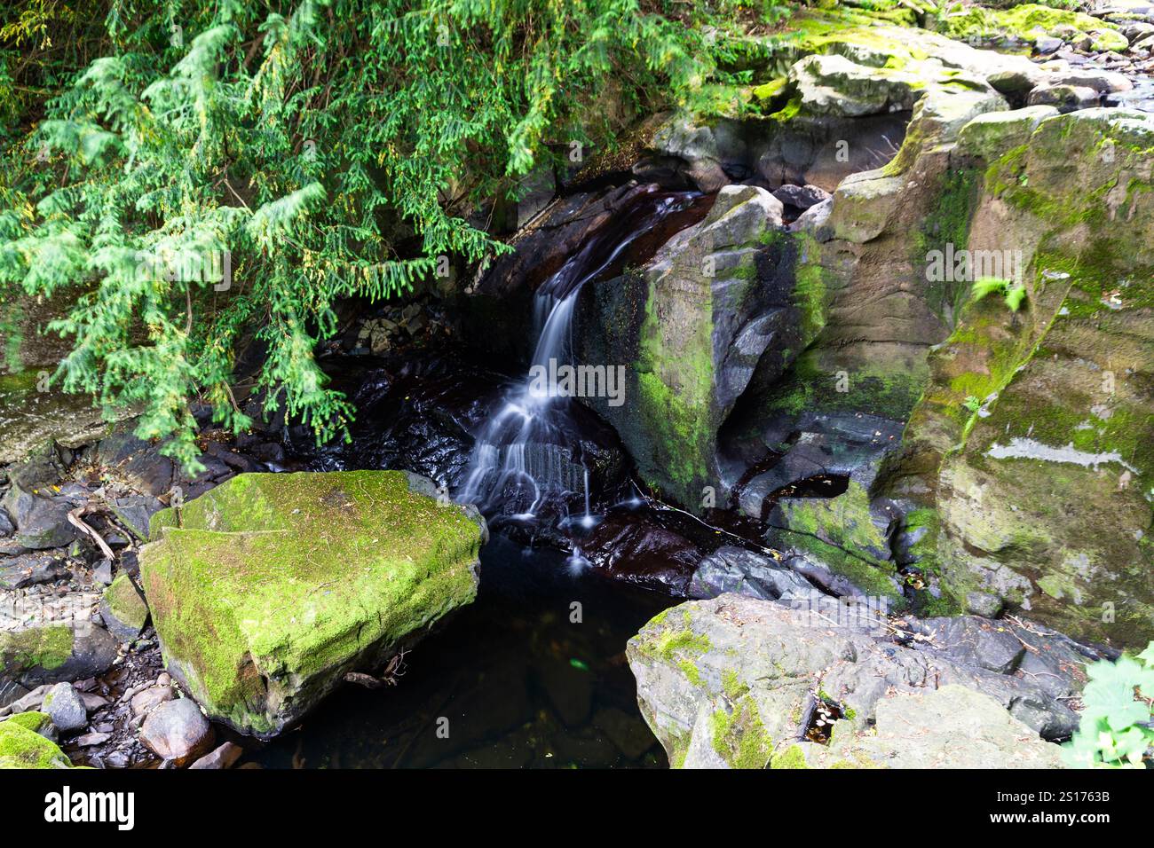 Partie inférieure des chutes des fées, appelée Rhaeadr y Tylwyth Teg en gallois. Chute d'eau dans le comté de Trefriw Conwy, pays de Galles du Nord, Royaume-Uni, basse eau parce que si somme Banque D'Images