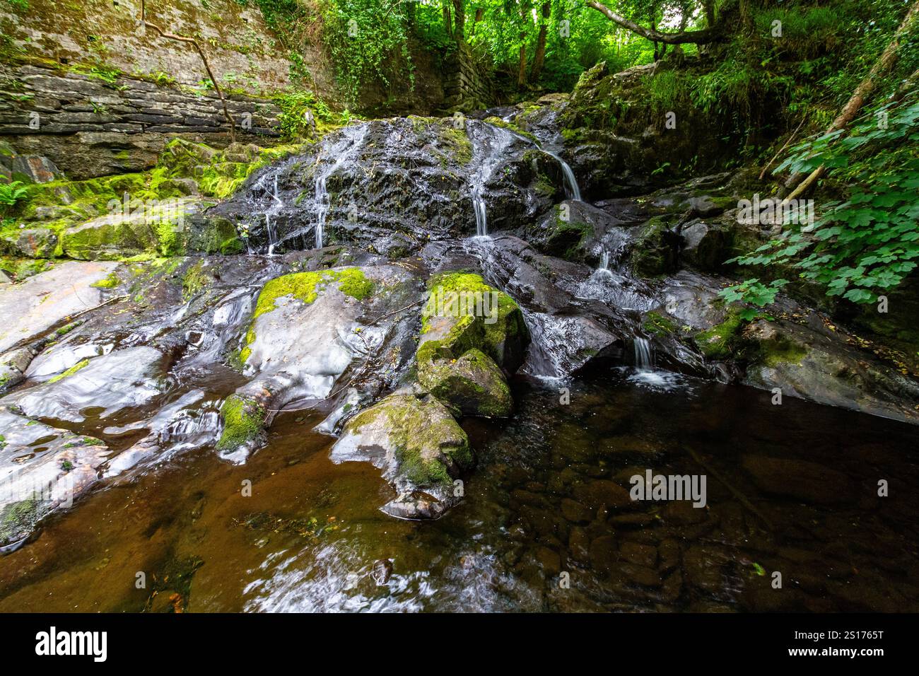 La partie principale des Fairy Falls, appelée Rhaeadr y Tylwyth Teg en gallois. Cascade dans le comté de Trefriw Conwy, pays de Galles du Nord, Royaume-Uni, basse eau parce que si summ Banque D'Images