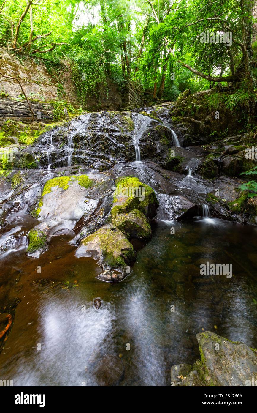La partie principale des Fairy Falls, appelée Rhaeadr y Tylwyth Teg en gallois. Cascade dans le comté de Trefriw Conwy, pays de Galles du Nord, Royaume-Uni, basse eau parce que si summ Banque D'Images