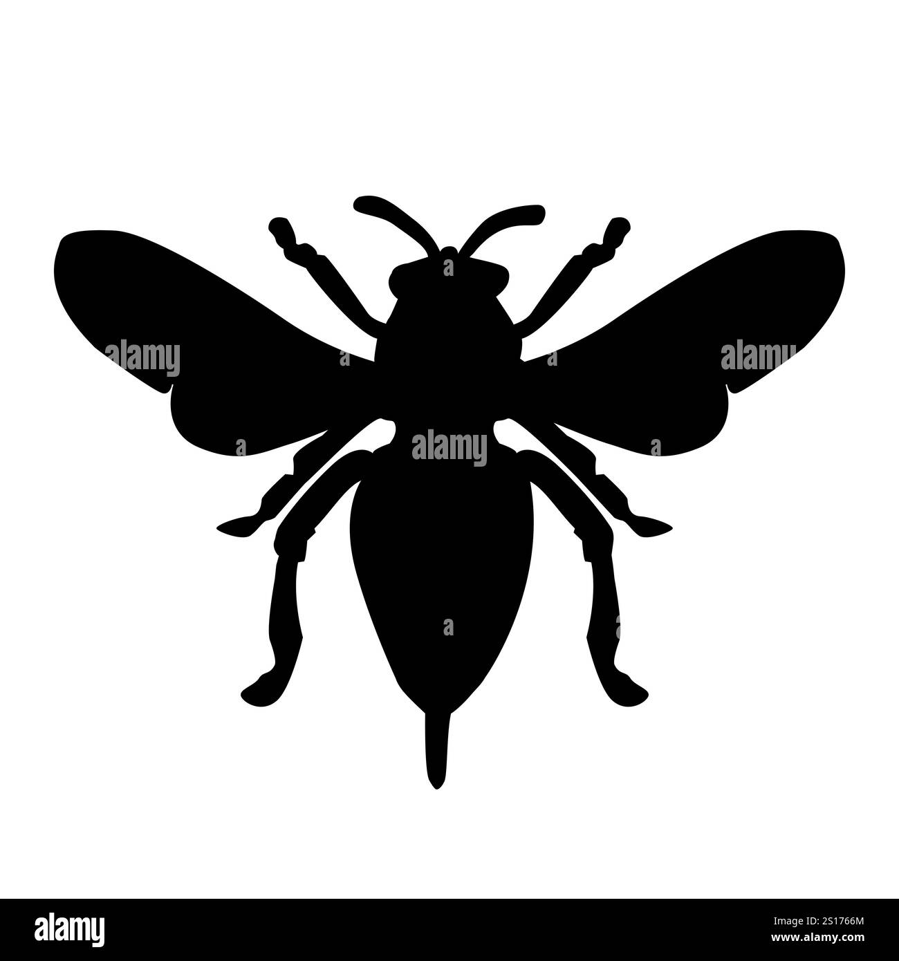 Silhouette de bug sur fond blanc. Forme d'insecte avec des ailes. Silhouette noire de coléoptère. Conception entomologique ou biologique. Illustration vectorielle Illustration de Vecteur