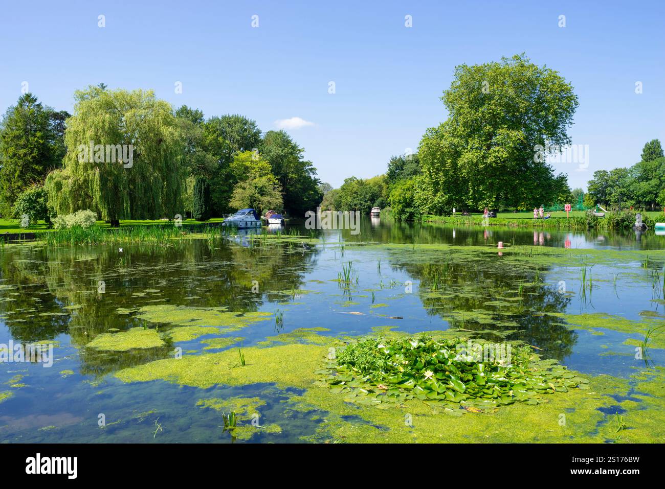 Godmanchester Cambridgeshire la rivière Great Ouse et le terrain de loisirs de Godmanchester Queens Walk Godmanchester Angleterre GB Europe Banque D'Images