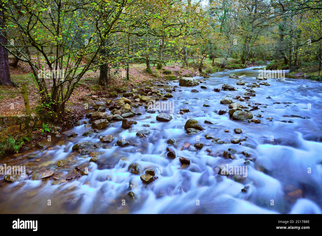 Une scène tranquille de la rivière Bayones qui coule doucement sur les rochers dans la forêt luxuriante d'Ucieda, situé dans la vallée pittoresque de Cabuerniga, Cantabrie. T Banque D'Images