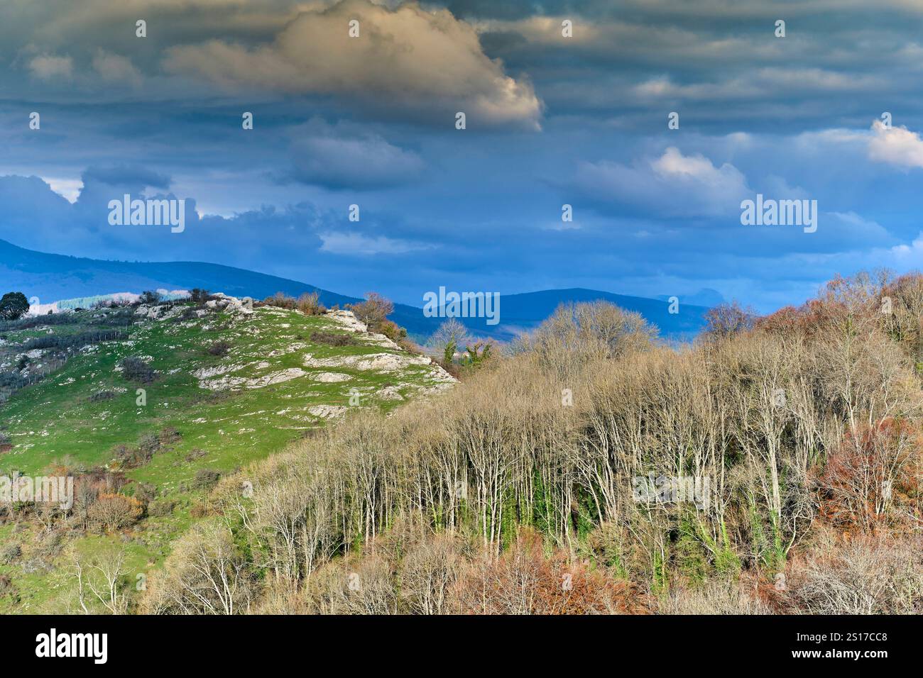 Un paysage pittoresque avec des collines verdoyantes et une forêt de hêtres sous un ciel nuageux spectaculaire. Vitoriano, Araba, pays Basque, Espagne. Alava ESPAGNE Banque D'Images