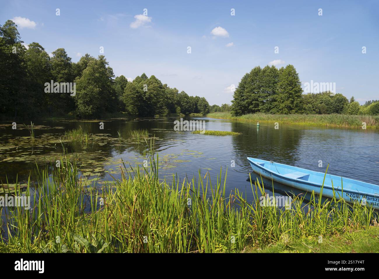 Une rivière calme coule à travers un paysage forestier verdoyant sous un ciel bleu, paysage près de l'écluse Tartak, canal Augustow, canal Augustowski, SuwaNki, Pod Banque D'Images