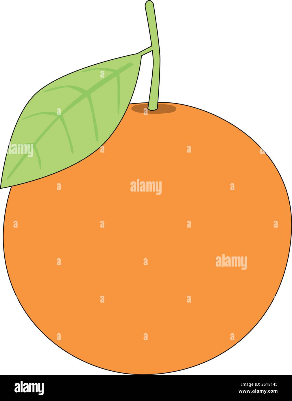 Orange. Oranges segmentées sur un fond blanc dans un style d'illustration vectorielle plat. Illustration de Vecteur