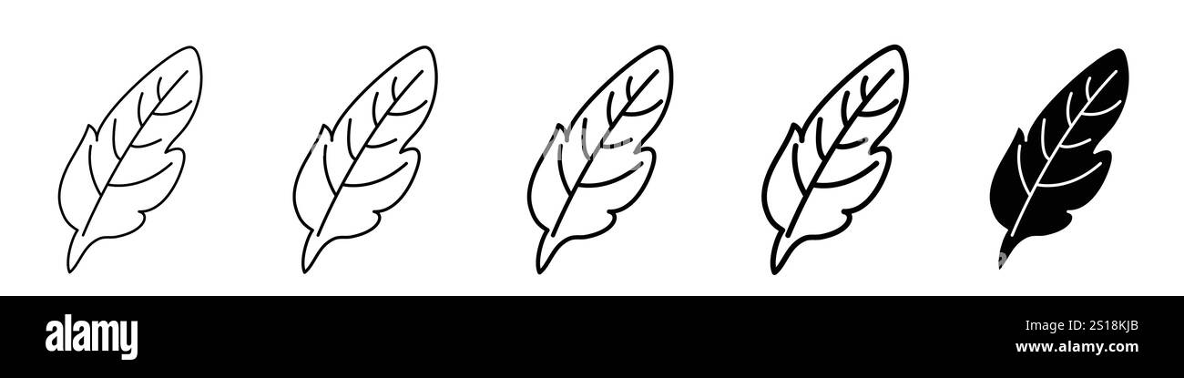 Set 5 icônes de plume 1 vecteur non développé 1 silhouette, ensemble d'icônes de plume d'oiseau, collection vectorielle de plumes de style plat, icône de stylo, silh de plume de plume noire Illustration de Vecteur