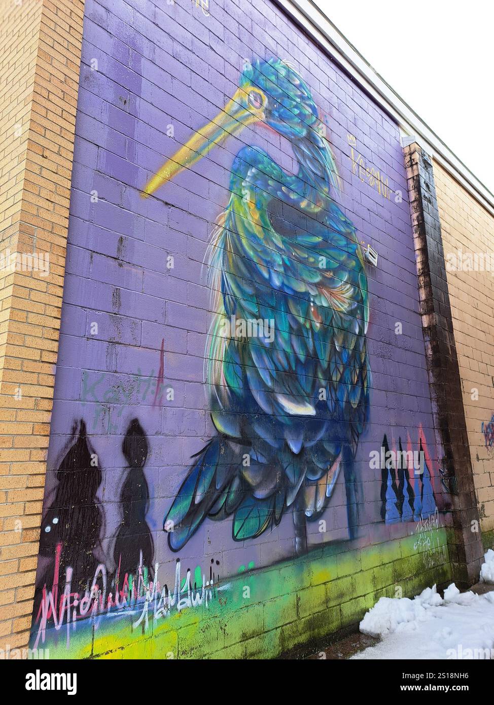 Murale d'un oiseau bleu debout à Miramichi, Nouveau-Brunswick, Canada Banque D'Images