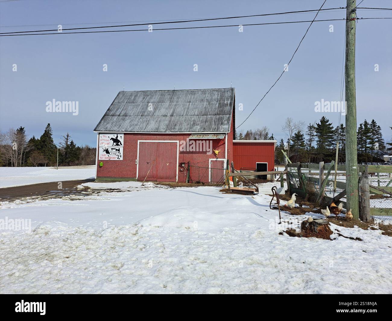 Grange rouge sur la ferme Keating à Whitney à Miramichi, Nouveau-Brunswick, Canada Banque D'Images