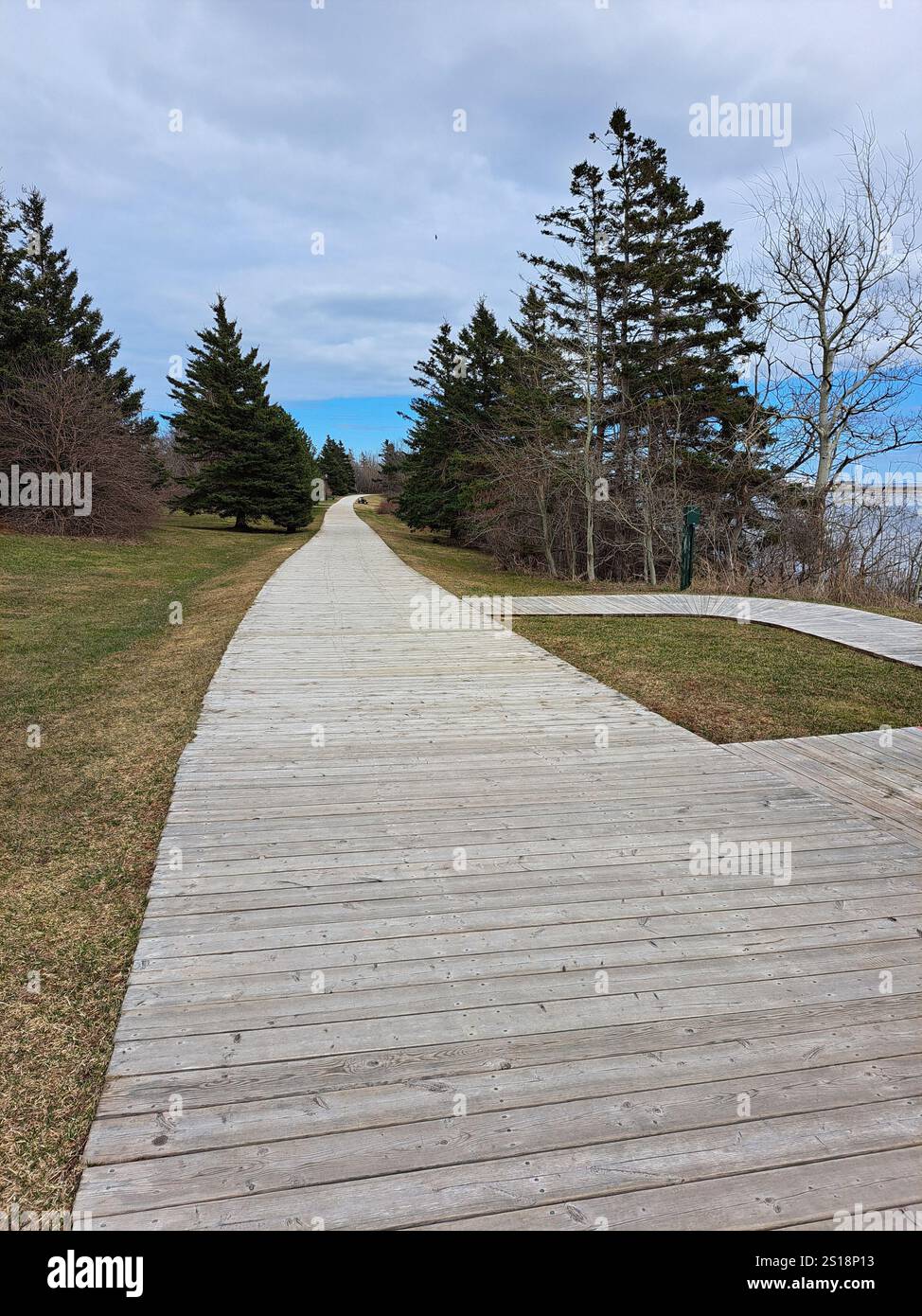 Promenade en bois sur la promenade de North Rustico, Île-du-Prince-Édouard, Canada Banque D'Images