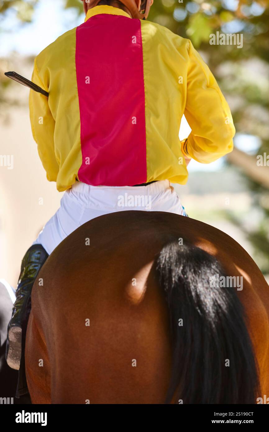 Détail cheval de course et jockey. Pure race dans l'hippodrome. Derby Banque D'Images Détail cheval de course et jockey. Pure race dans l'hippodrome. Derby Banque D'Images