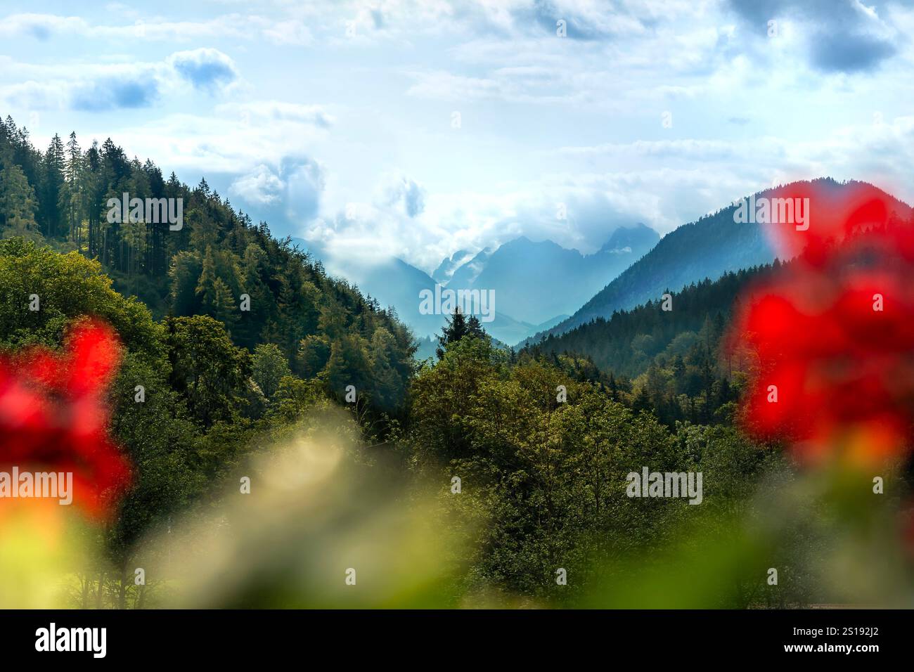 Blick auf die Berge Banque D'Images