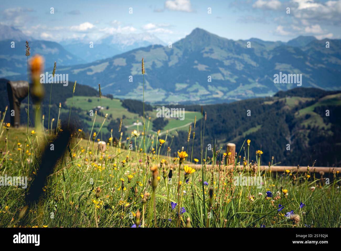 Blick auf die Berge Banque D'Images