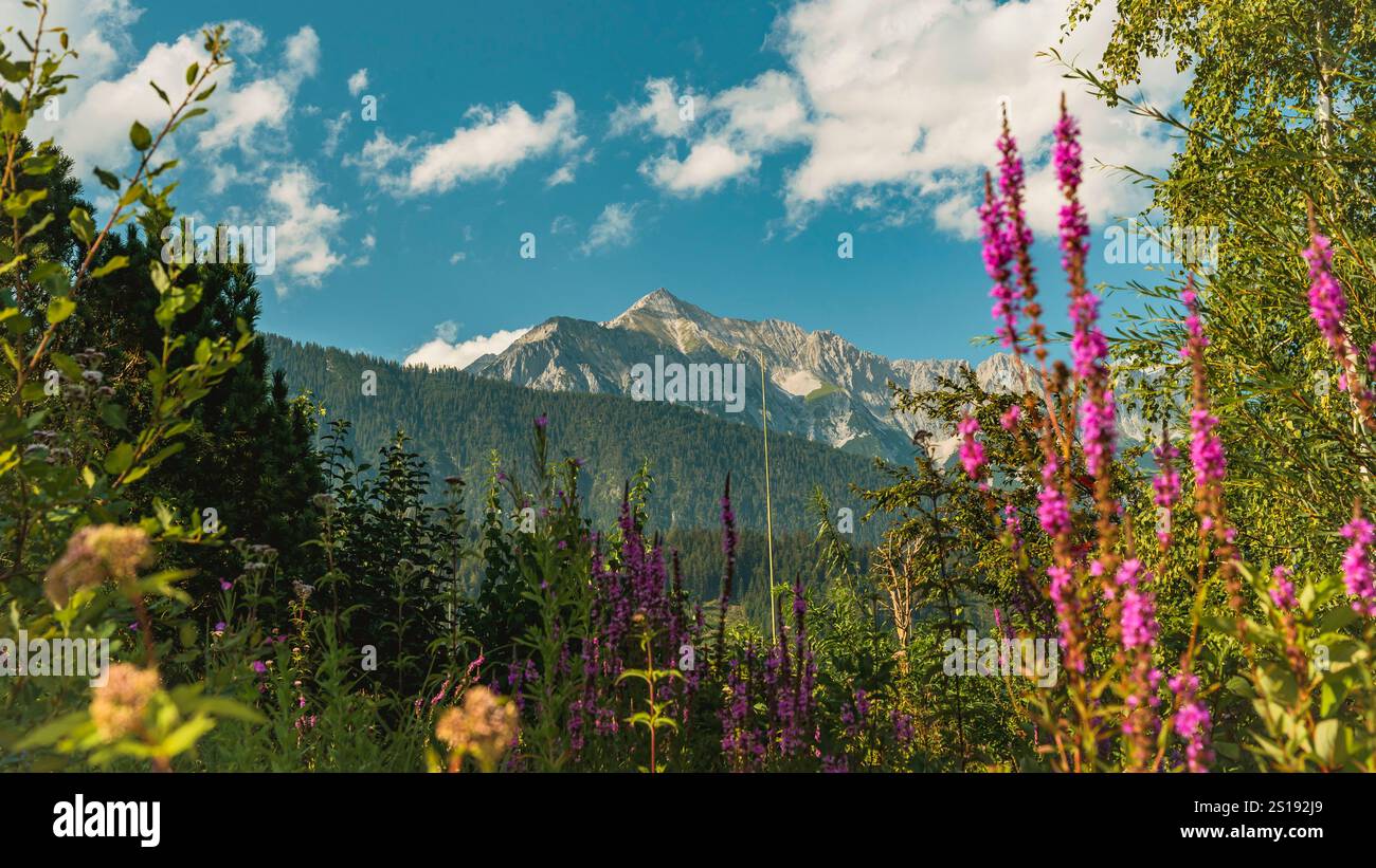 Blick auf die Berge Banque D'Images