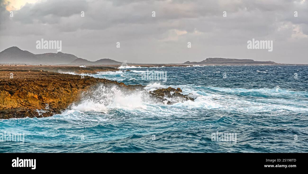 Le parc national de Washington Slagbaai est un parc national et une réserve écologique situé dans la partie nord-ouest de l'île de Bonaire dans les Caraïbes Netherl Banque D'Images