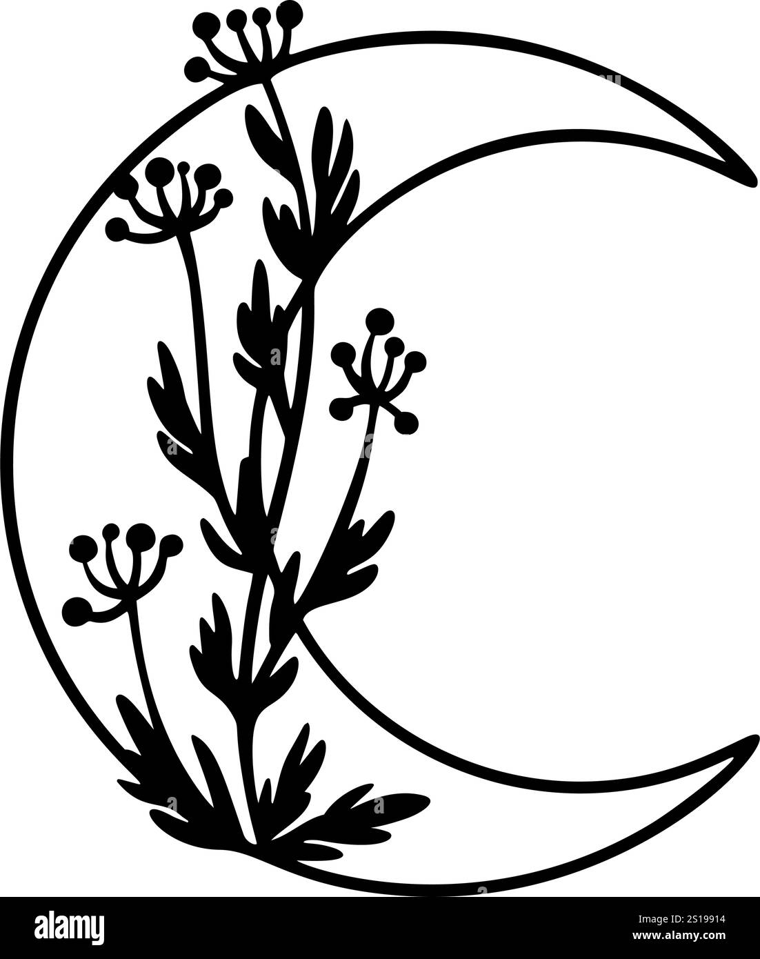 Clipart de lune florale. Phase de lune et ensemble de fleurs. Icône de lune noire. Eléments isolés du croissant céleste. Fleur de croissant dessinée à la main. Lune boho sorcière Illustration de Vecteur