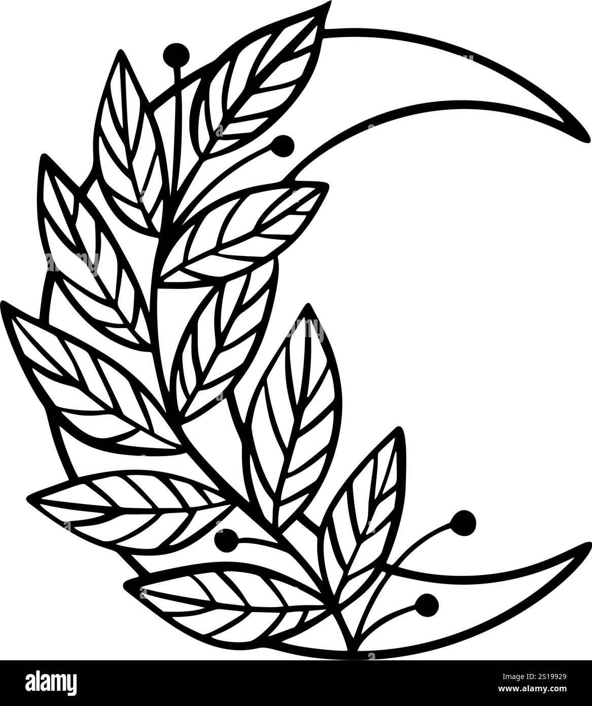 Clipart de lune florale. Phase de lune et ensemble de fleurs. Icône de lune noire. Eléments isolés du croissant céleste. Fleur de croissant dessinée à la main. Lune boho sorcière Illustration de Vecteur