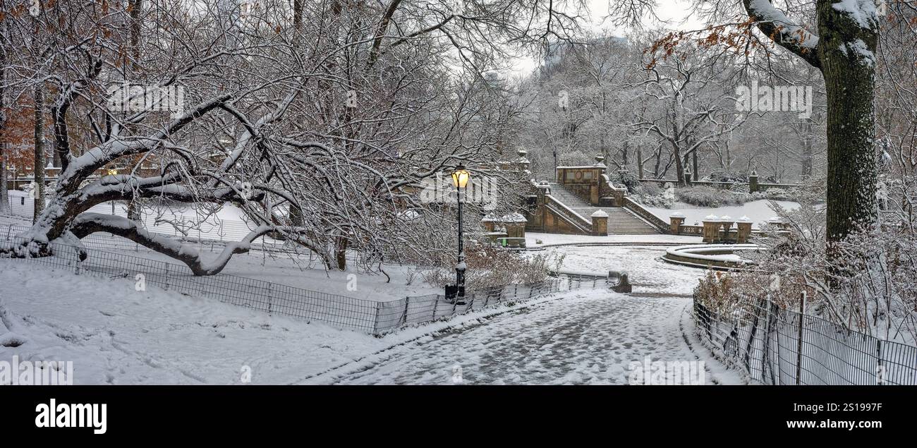 Central Park en hiver tôt le matin pendant la tempête de neige Banque D'Images