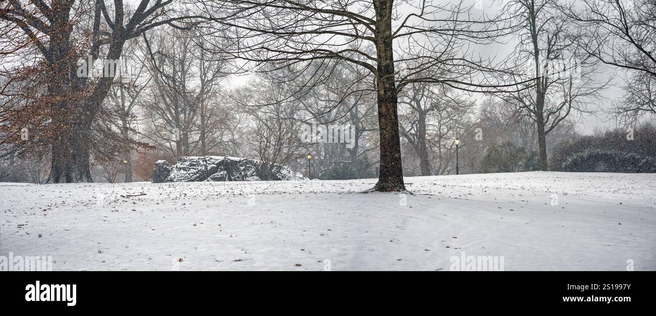 Central Park en hiver tôt le matin pendant la tempête de neige Banque D'Images