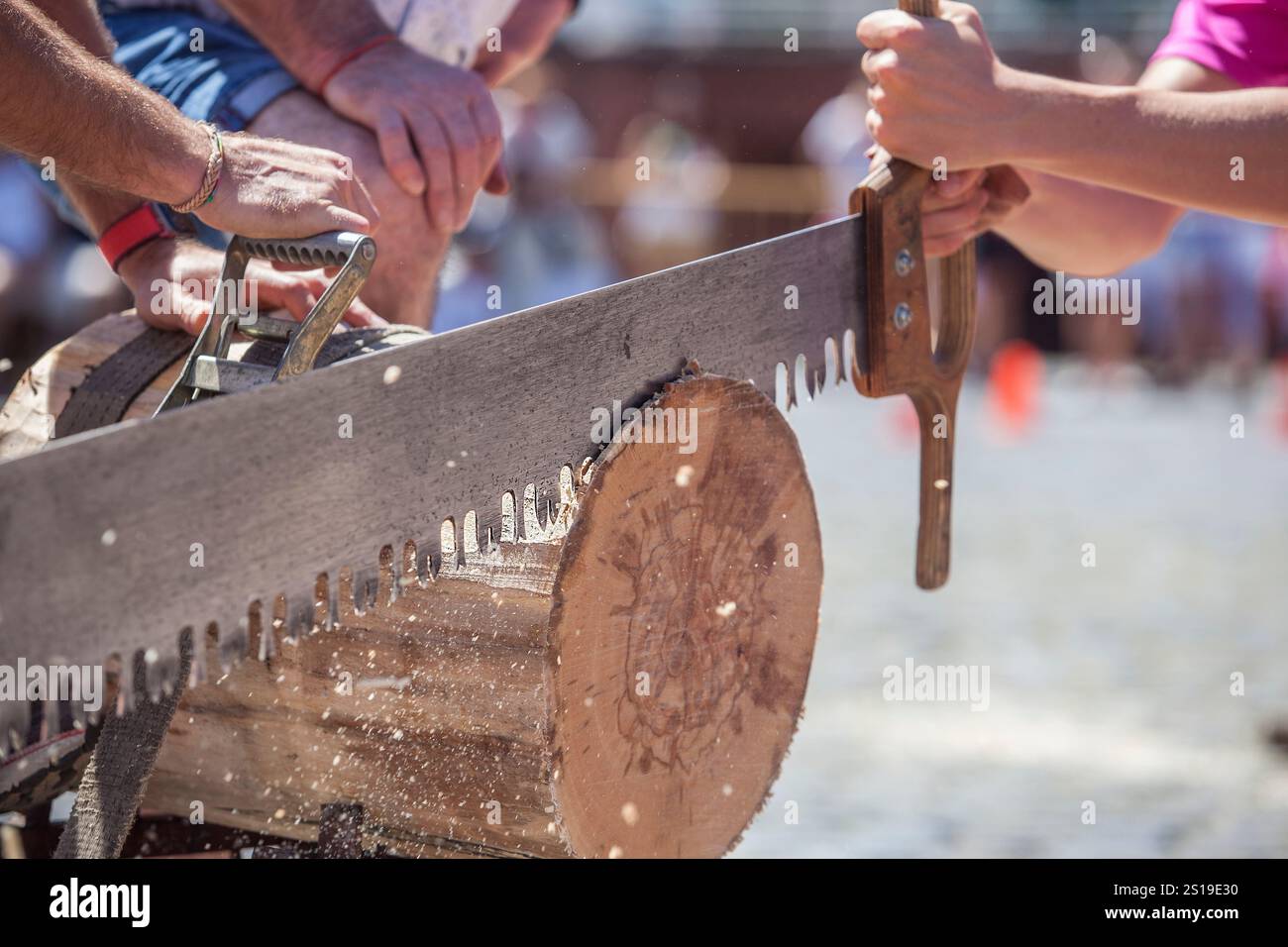 Sciage ou trontza, sport traditionnel navarre et pays basque. Les concurrents coupent le tronc en anneaux de quelques centimètres d'épaisseur Banque D'Images