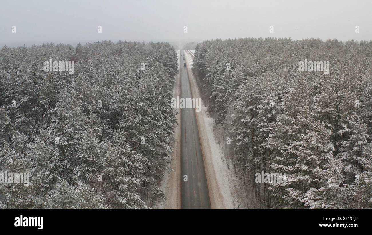 La neige tombe doucement sur un paysage forestier tranquille, créant une atmosphère sereine pendant une journée nuageuse d'hiver. Banque D'Images