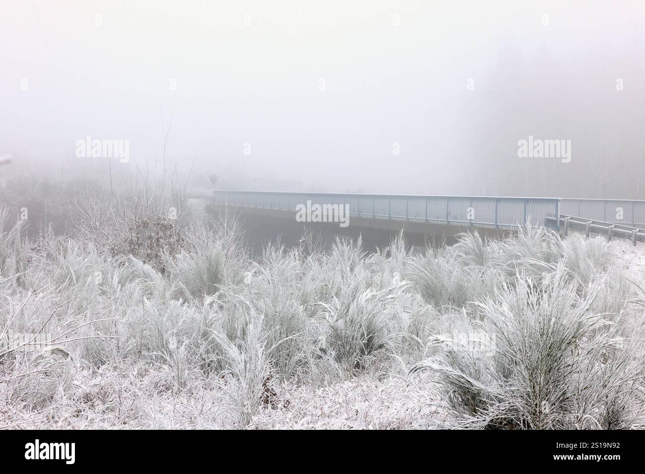 Der Januar zeigt sich zu Beginn Nass, Kalt und ungemuetlich ungemütlich im Siegerland. In den hoeheren höheren Lagen wie hier in der Naehe Nähe der Raststaette Raststätte Siegerland Ost an der Autobahn A45 Hat es geschneit und es ist Nebel aufgezogen. Winter im Siegerland AM 02.01.2025 à Siegen/Deutschland. *** Janvier commence humide, froid et inconfortablement inconfortable à Siegerland dans les altitudes plus élevées, comme ici près de l'arrêt de repos Siegerland Ost sur l'autoroute A45, il a neigé et il y a du brouillard hiver à Siegerland le 02 01 2025 à Siegen Allemagne Banque D'Images