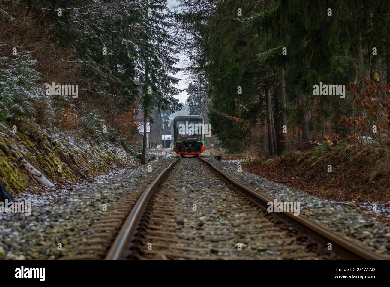 Train de voyageurs privé couleur dans la forêt d'hiver près de Lcovice arrêt CZ 12 12 2024 Banque D'Images