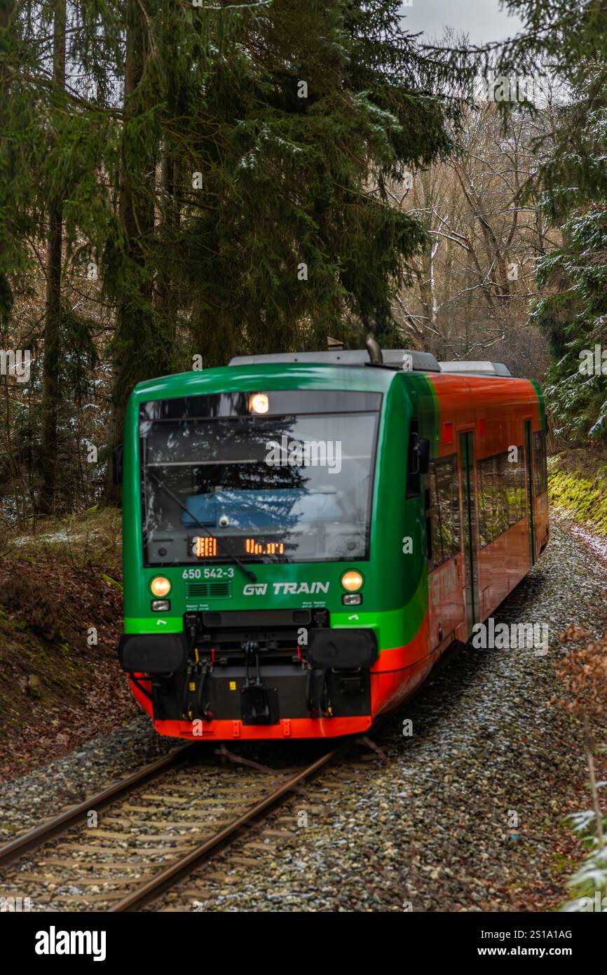 Train de voyageurs privé couleur dans la forêt d'hiver près de Lcovice arrêt CZ 12 12 2024 Banque D'Images