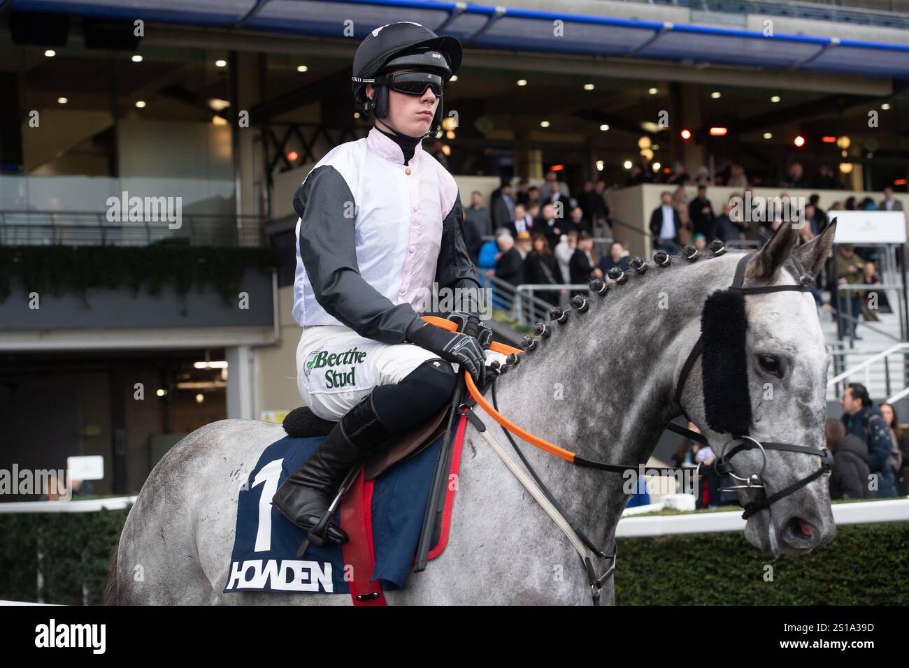 Ascot, Berkshire, Royaume-Uni. 21 décembre 2024. FIL DOR monté par le jockey Danny Gilligan se dirige sur la piste pour la course Howden Steeple Chase Class 2 GBB Race au Howden Christmas Family Raceday à Ascot Racecourse dans le Berkshire. Crédit : Maureen McLean/Alamy Banque D'Images