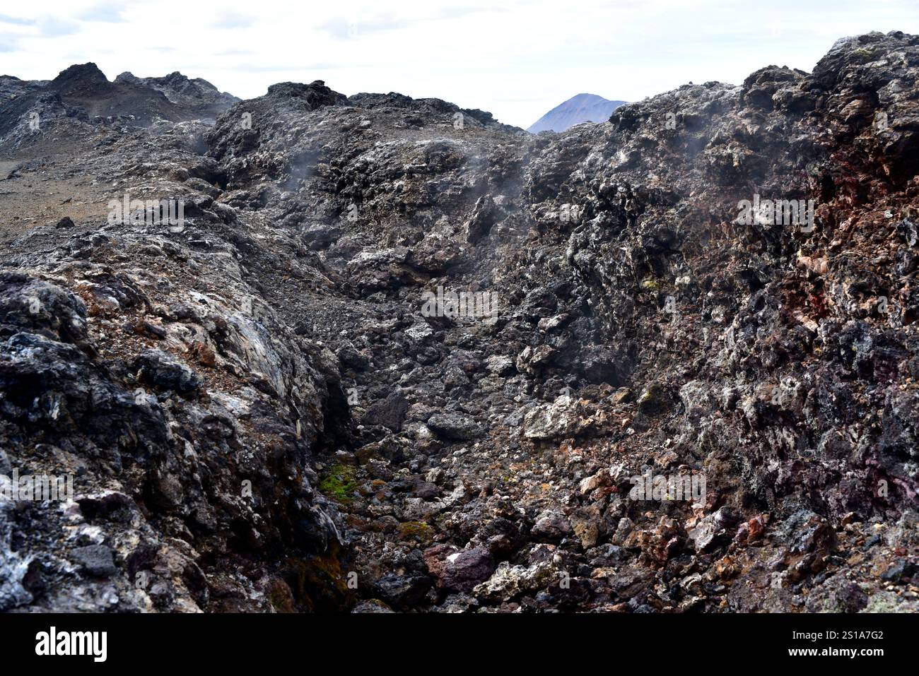 Volcan Leirhnjukur, fumerolles et fissure tectonique. Krafla, région de Myvatn, Islande. Banque D'Images