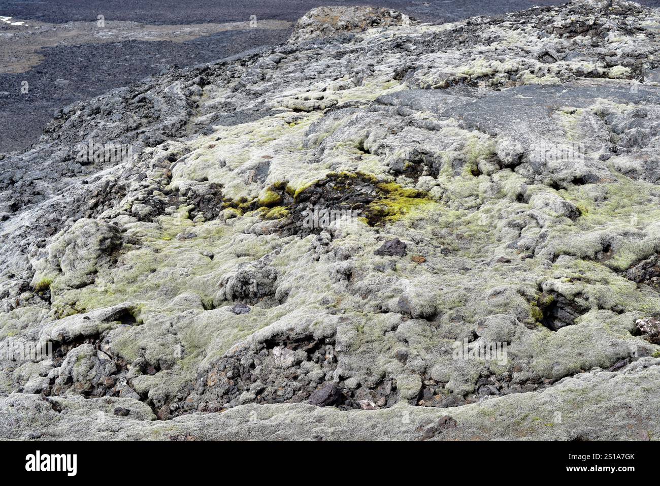 Volcan Leirhnjukur, mousse sur coulée de lave. Krafla, région de Myvatn, Islande. Banque D'Images