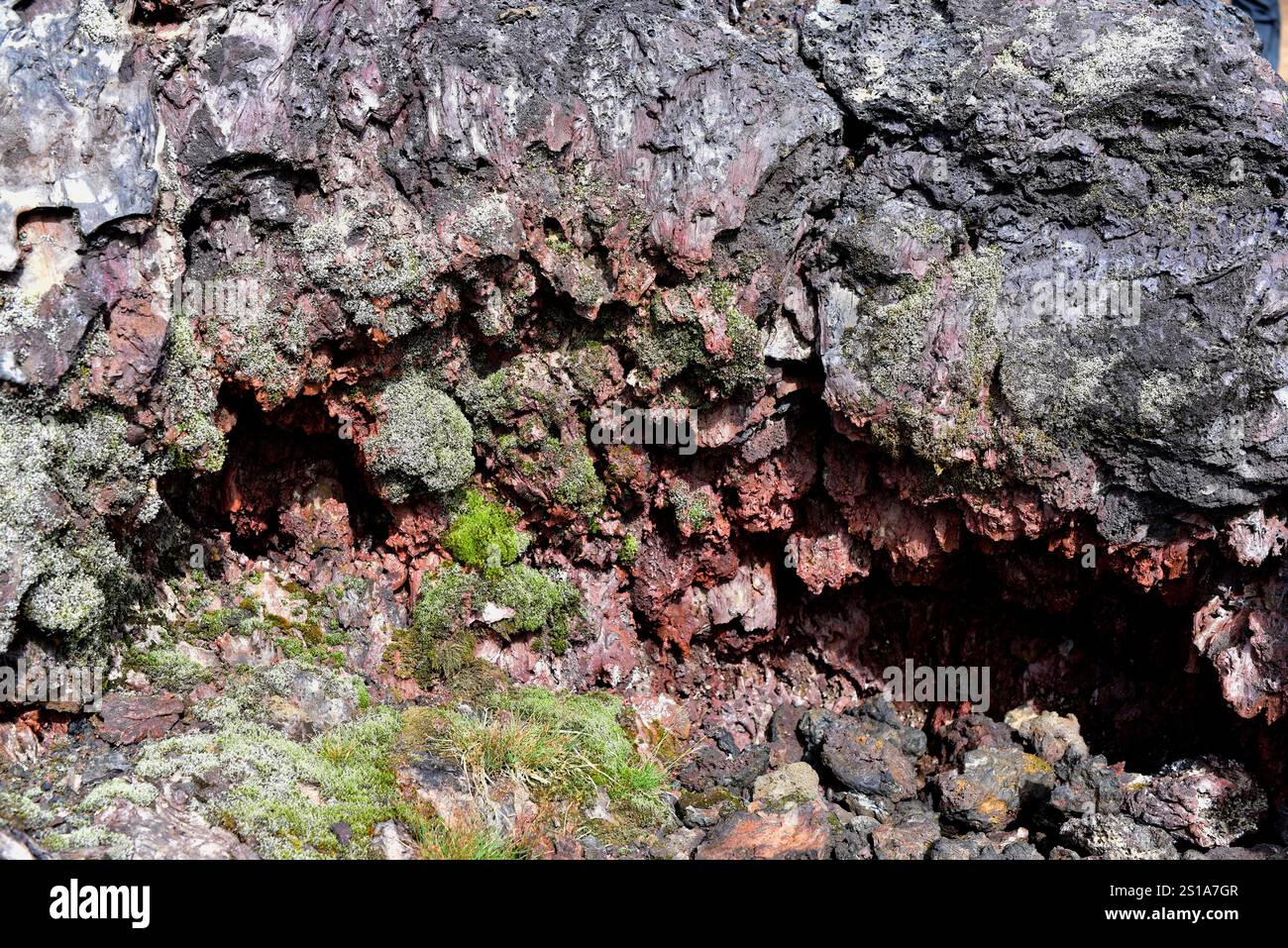 Volcan Leirhnjukur, détail de la coulée de lave. Krafla, région de Myvatn, Islande. Banque D'Images