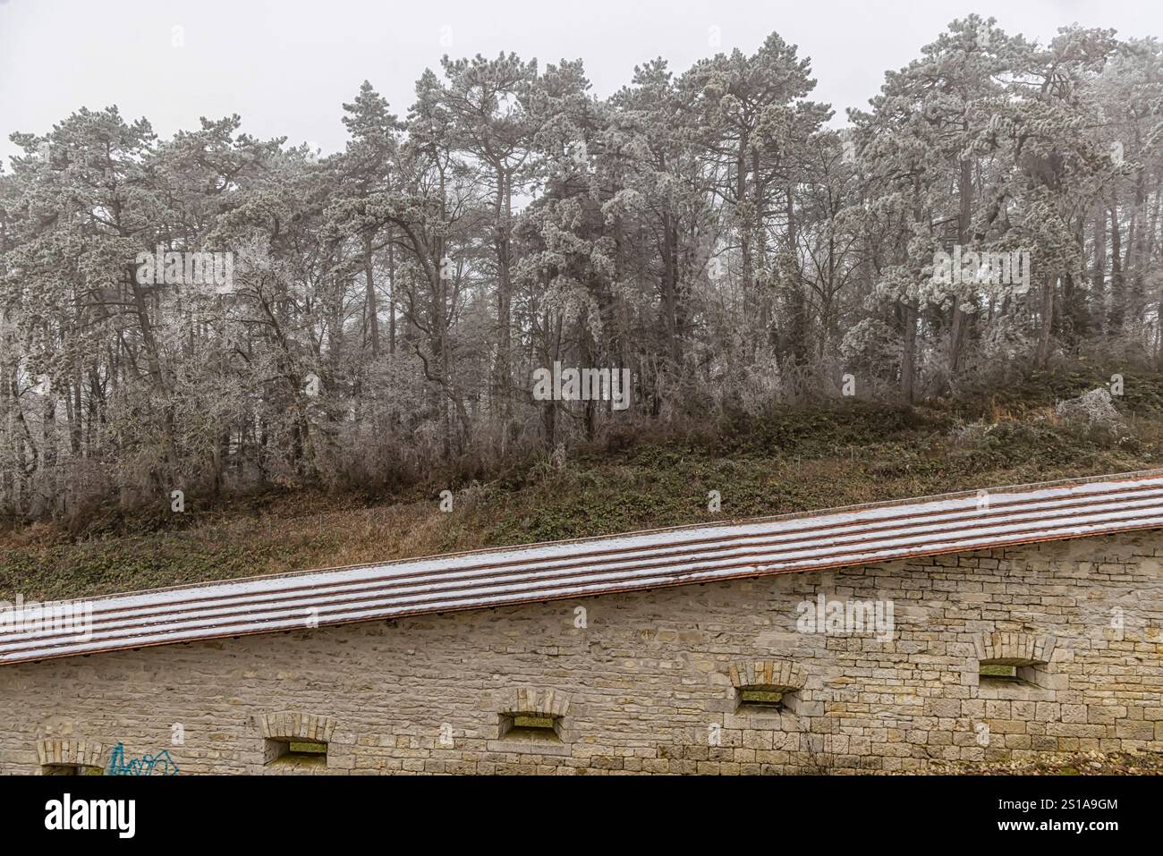 Bundesfestung Ulm. IM 19. Jahrhunderts War sie die größte millitärische Befestigungsanlage en Europe. // 30.12.2024 : Ulm, Bade-Württemberg, Deutschland *** forteresse fédérale Ulm au XIXe siècle, c'était la plus grande fortification militaire d'Europe 30 12 2024 Ulm, Bade-Württemberg, Allemagne Banque D'Images