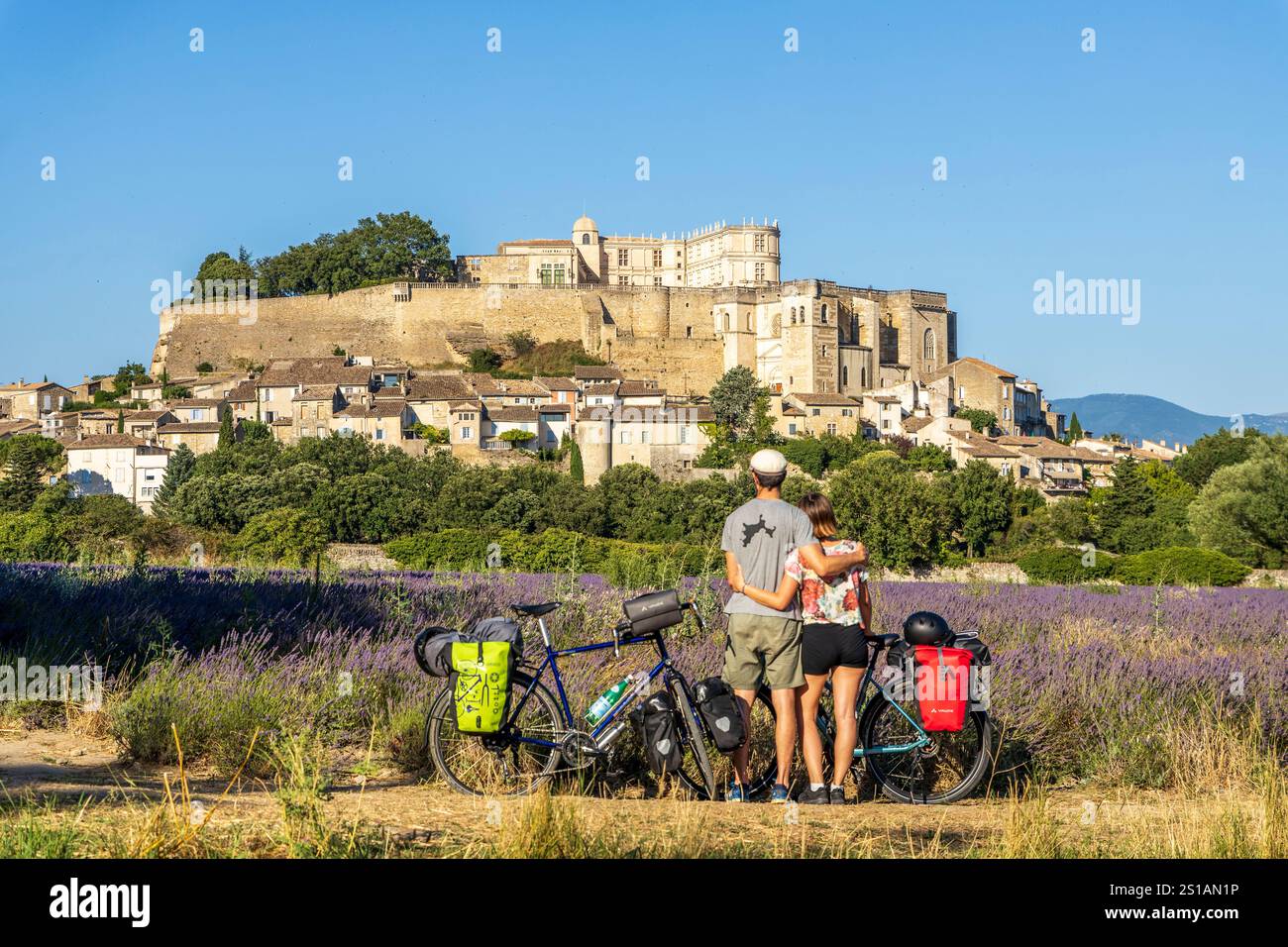 France, Drôme, Grignan, labellisé les plus Beaux villages de France, champ de lavande devant la chapelle romane Saint-Vincent du XIIe siècle, le village et le château de Grignan le château de Grignan, résidence de la lignée d'Adhémar depuis six siècles Banque D'Images
