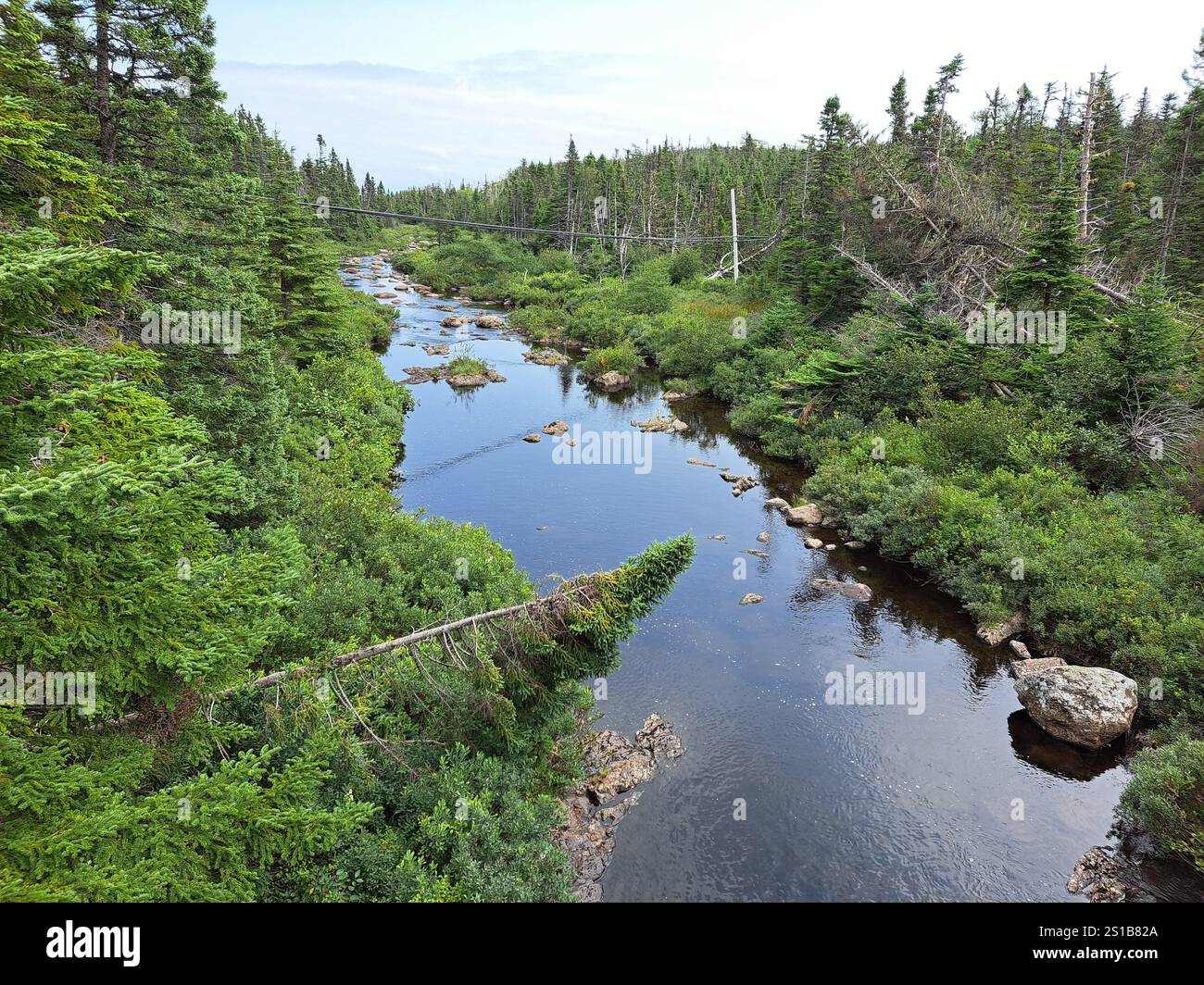 Ruisseau près du pont en béton abandonné et délabré à Cape Broyle, Terre-Neuve-et-Labrador, Canada Banque D'Images
