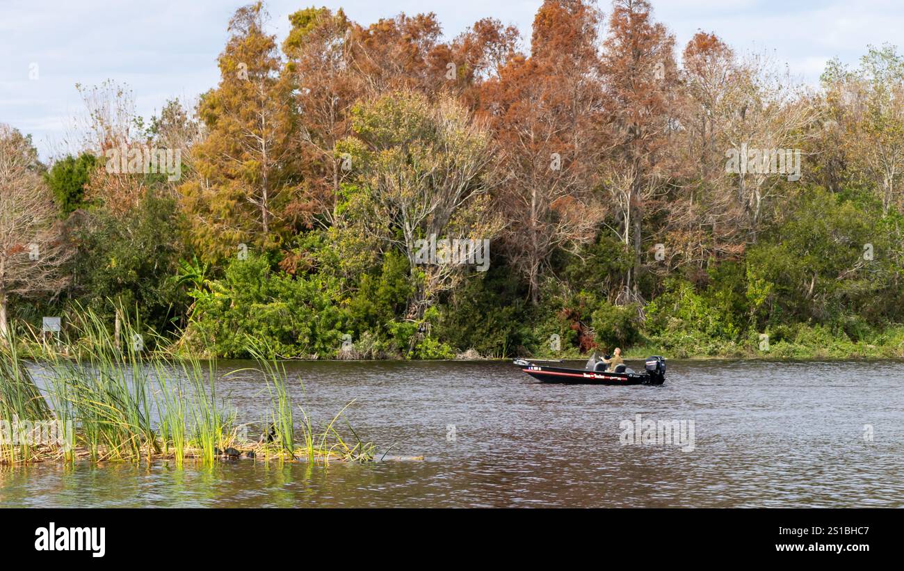 Bateau de basse dans le lac avec des bois en arrière-plan Banque D'Images