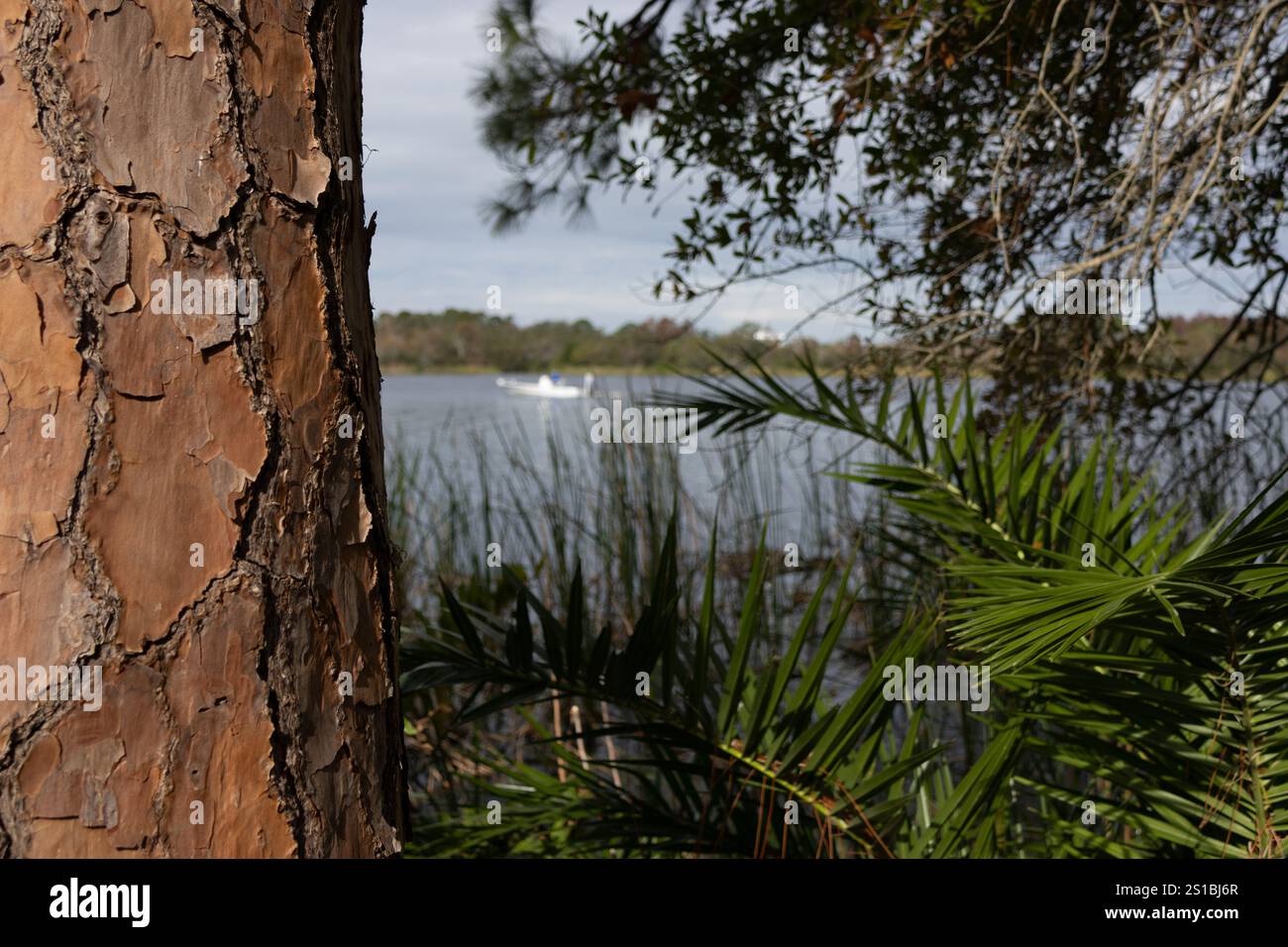 Bateau de pêche sur le lac en arrière-plan avec encadrement naturel Banque D'Images