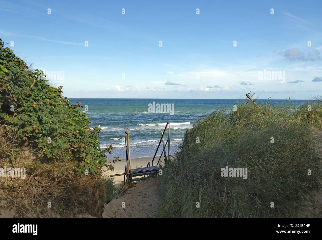Vue sur la mer depuis le sentier des dunes avec végétation et ciel bleu, vacances, mer du Nord, Lokken, Jutland du Nord, Jutland, Danemark, Europe Banque D'Images
