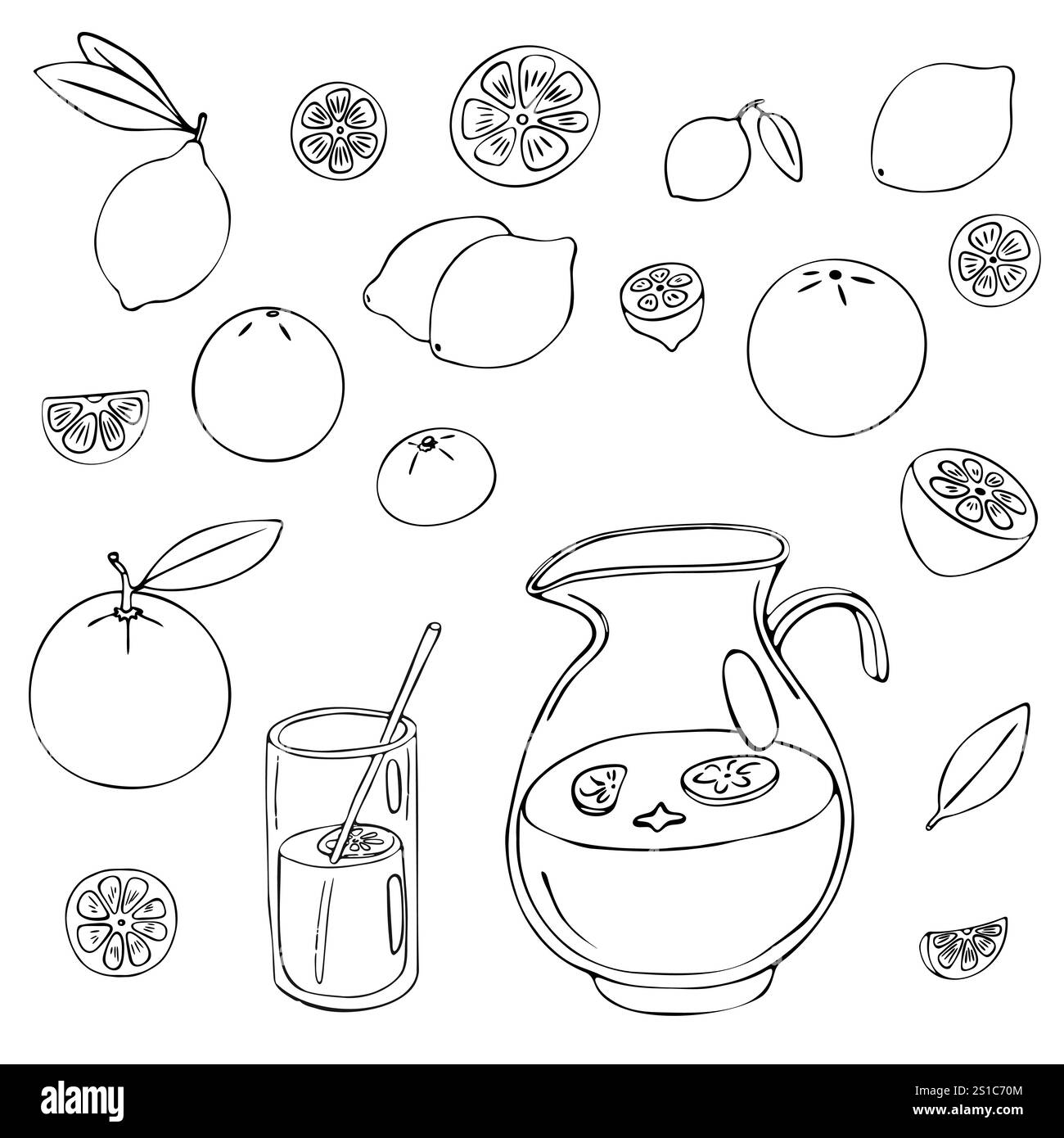 Ensemble de doodle à la limonade. Divers agrumes, oranges, mandarines, citrons, citrons verts, un pichet en verre avec limonade. Illustration de Vecteur