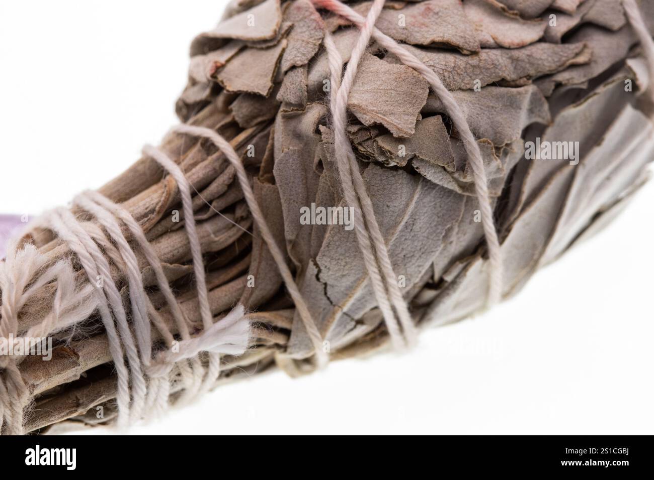 Bâton de maculage de sauge blanc gros plan blanc. Photo de haute qualité Banque D'Images