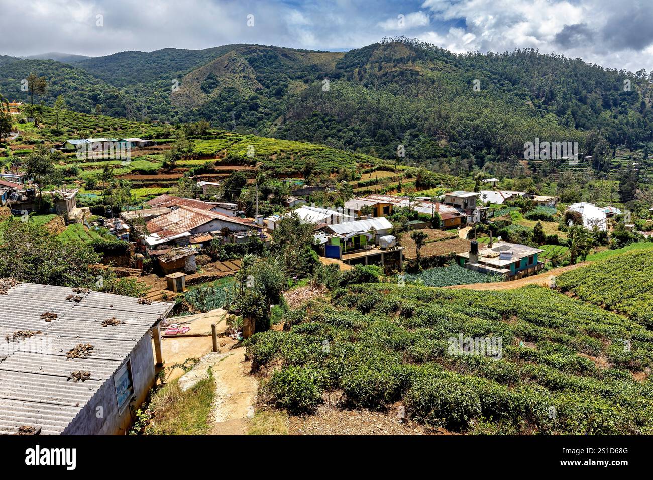 Le paysage des hauts plateaux du Sri Lanka à Nuwara Eliya Banque D'Images