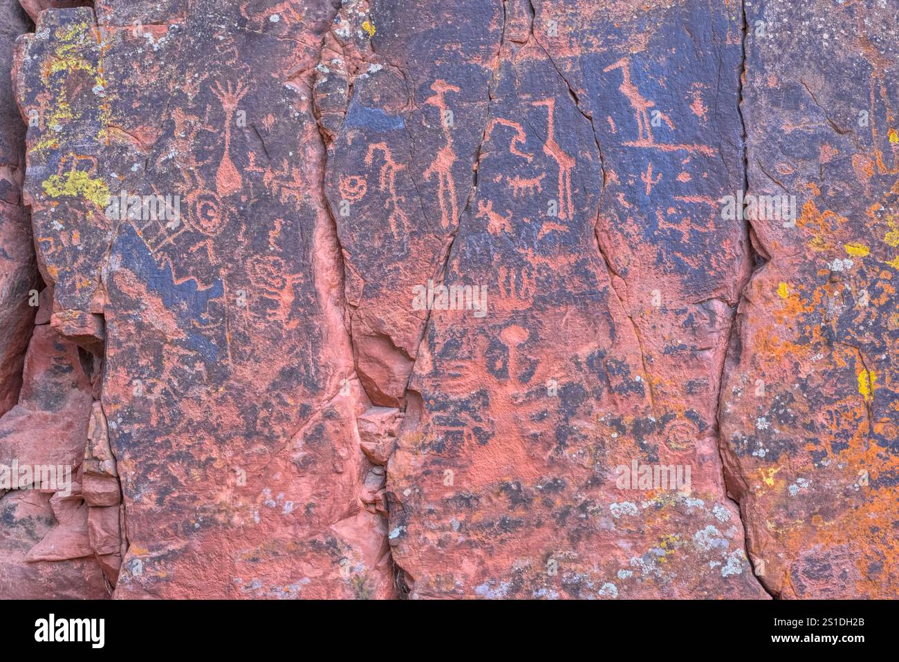 Site du patrimoine des pétroglyphes de la grue dans la forêt nationale de Coconino en Arizona. Propriété du National Forest Service. Aucune autorisation du propriétaire n'est nécessaire. Banque D'Images