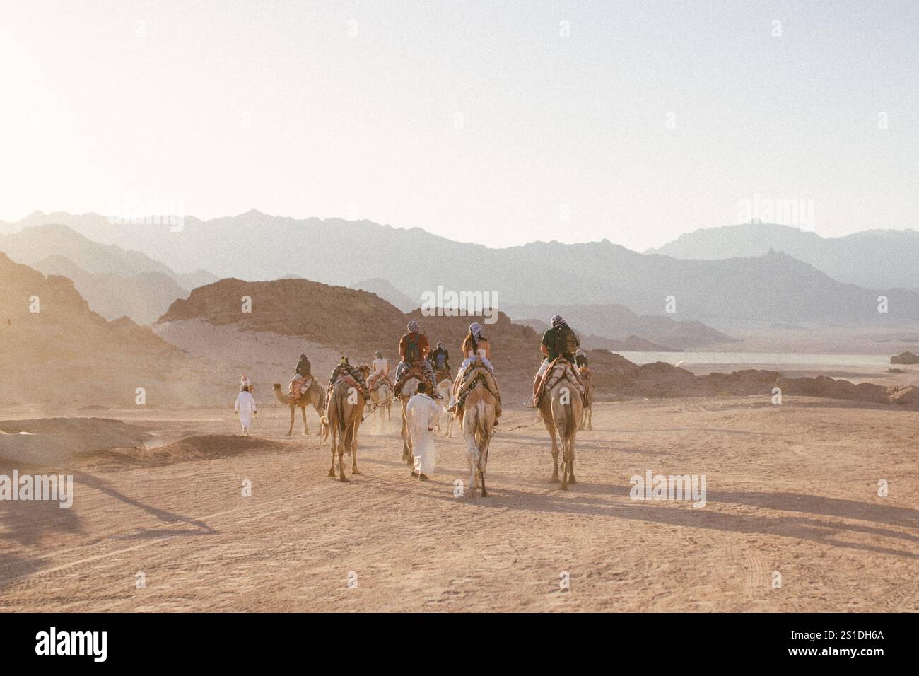 Les touristes montent à dos de chameaux dans le désert du Sahara. Banque D'Images